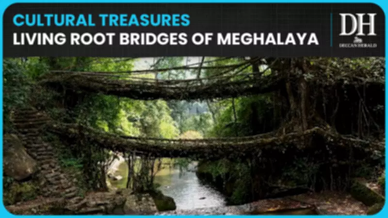 India Proposes Meghalaya's Living Root Bridges for UNESCO World Heritage Recognition