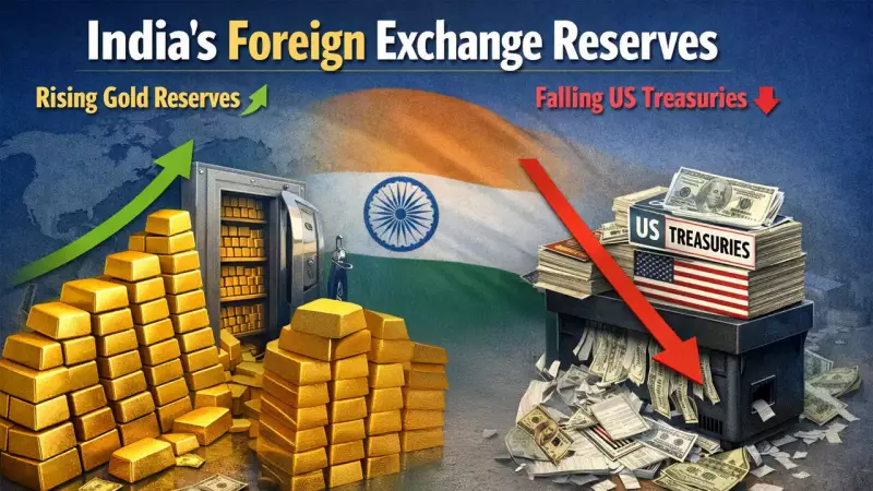 India Slashes US Treasury Holdings to 5-Year Low Amid Strategic Forex Reshuffle
