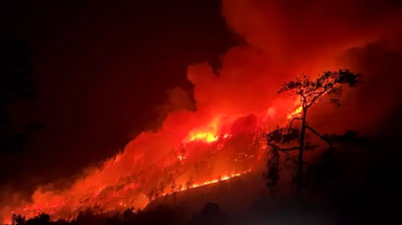 Indian Army and IAF Jointly Contain Major Wildfire Along Arunachal Pradesh Border