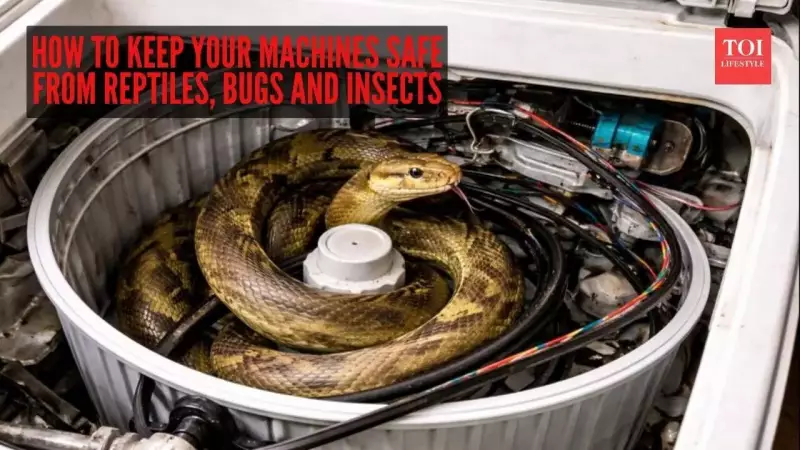Indian Rat Snake Rescued from Washing Machine in Mumbai Home