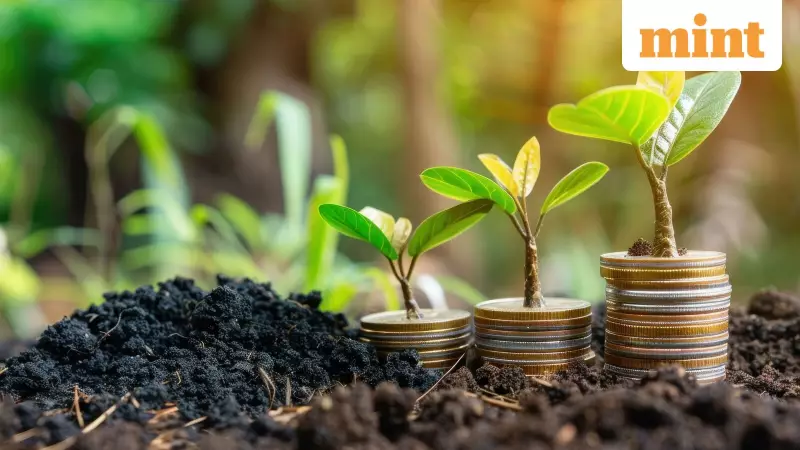 India's Climate Finance Framework Needs Clear Definitions to Avoid Costly Confusion