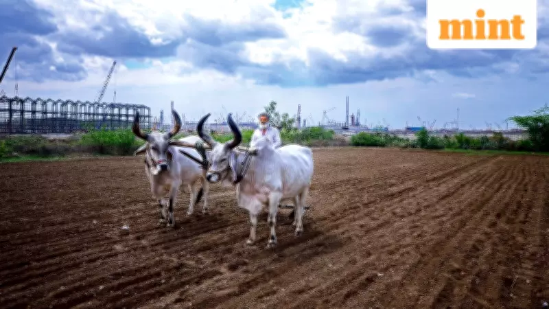 India's Crop Diversification Strategy: Balancing Farmer Income and Food Security