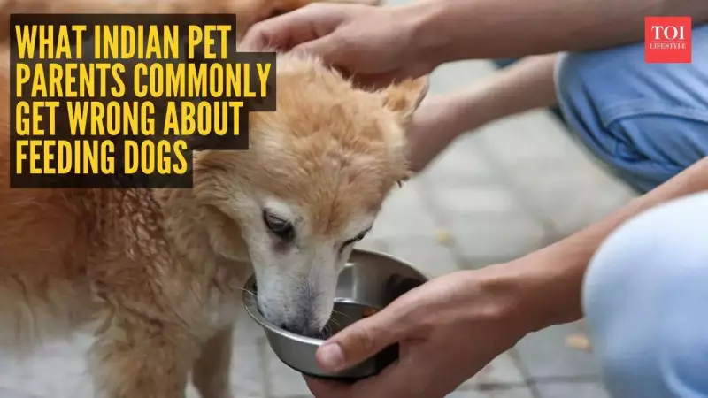 India's Pet Boom: Why 80% of Home-Cooked Dog Diets Are Nutritionally Deficient
