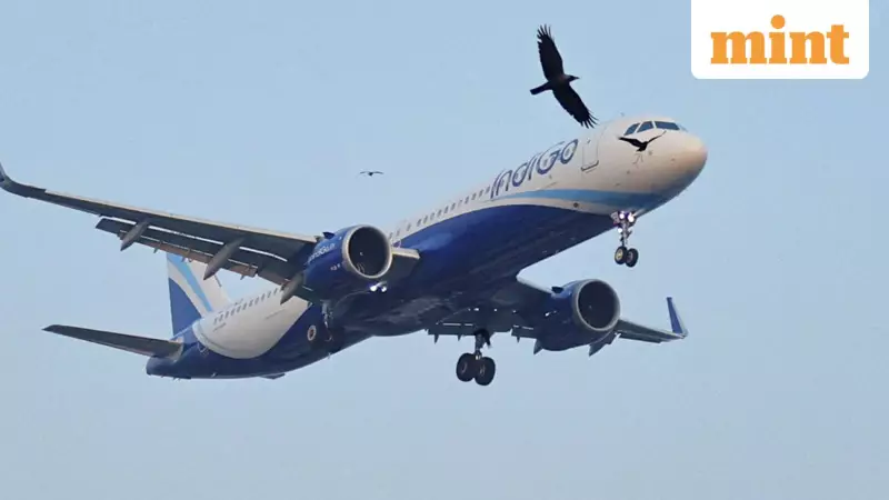 IndiGo Leads Airbus Deliveries Again in 2025 Despite Operational Challenges