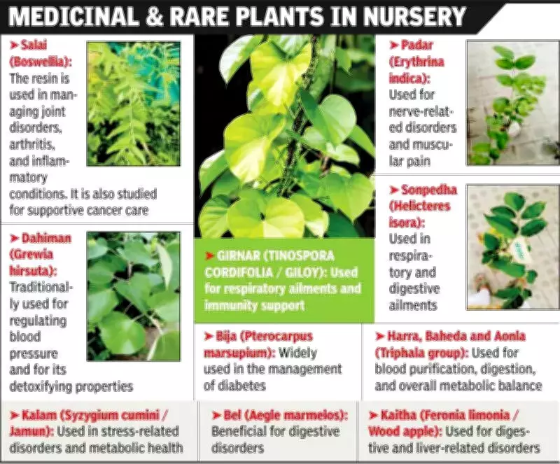 Indore's Holkar Science College Creates Medicinal Plant Hub to Preserve Rare Species