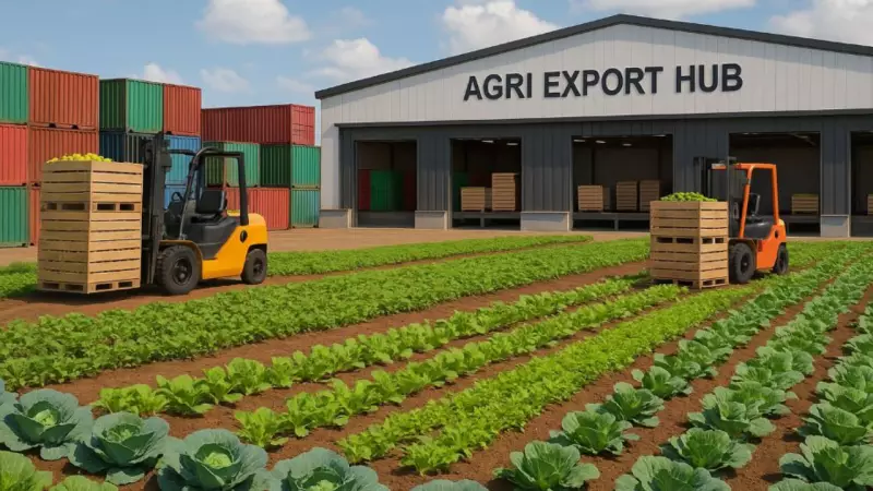 Innova Food Park to Establish 30-Acre Agri Export Hub Near Noida Airport