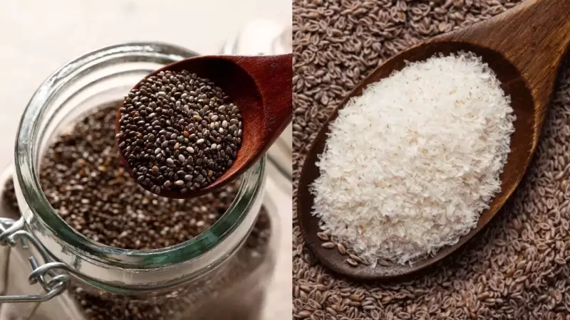 Isabgol vs Chia Seeds: Which is Better for Your Gut Health? Experts Weigh In