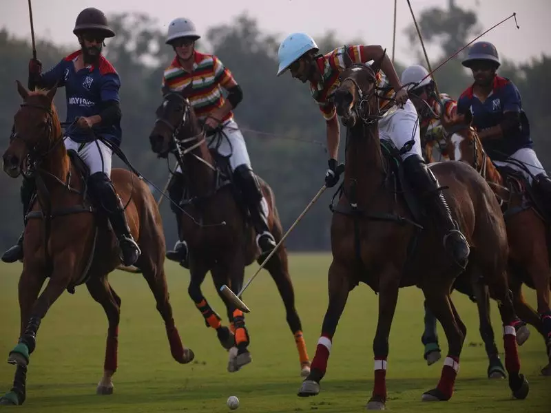 Jaipur Polo Team Dominates Thunderbolt 10-6.5 in Kognivera Cup Opener