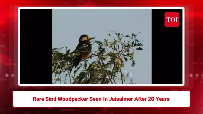 Jaipur Today: Civic Updates, Traffic Alerts, Weather & Political News