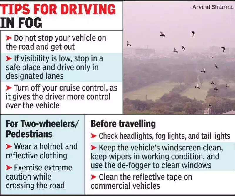 Jaipur's Nightly Drive: Transport Dept Deploys Fog Safety Teams at 5 Toll Plazas