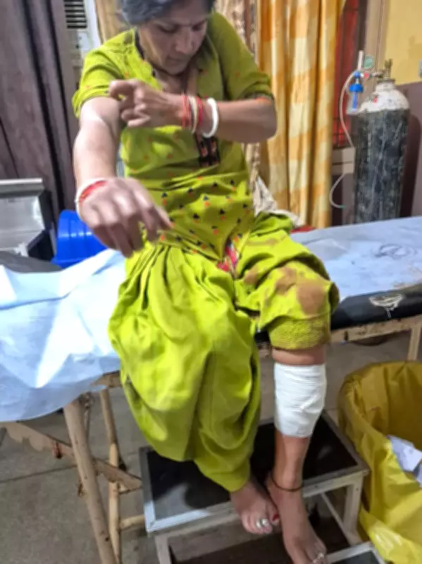 Jalandhar Urban Estate Grapples with Stray Dog Menace: Over 40 Cases Reported Since New Year