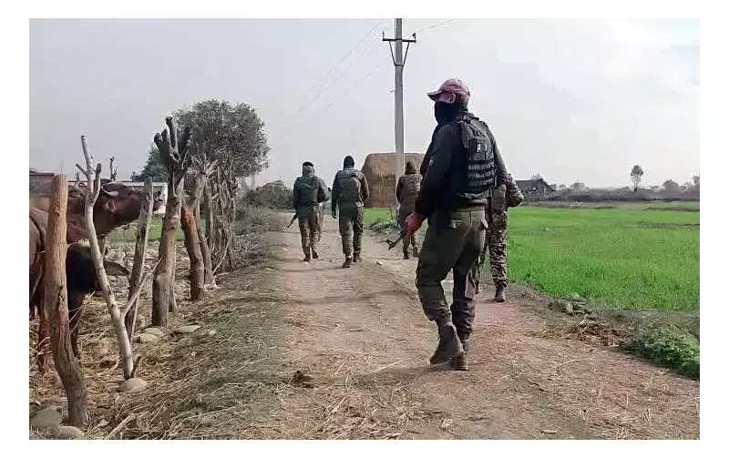 Jammu and Kashmir Police Neutralize Terrorist in Kathua's Billawar Area Operation