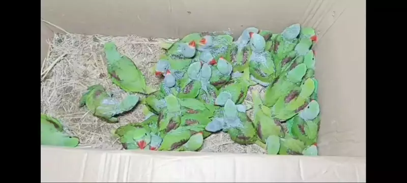 Jamshedpur Forest Officials to Collaborate with Bengal on Wildlife Smuggling Case