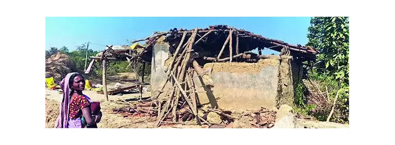 Jamshedpur Villagers Protest After Elephant Kills 20, Demand Higher Compensation