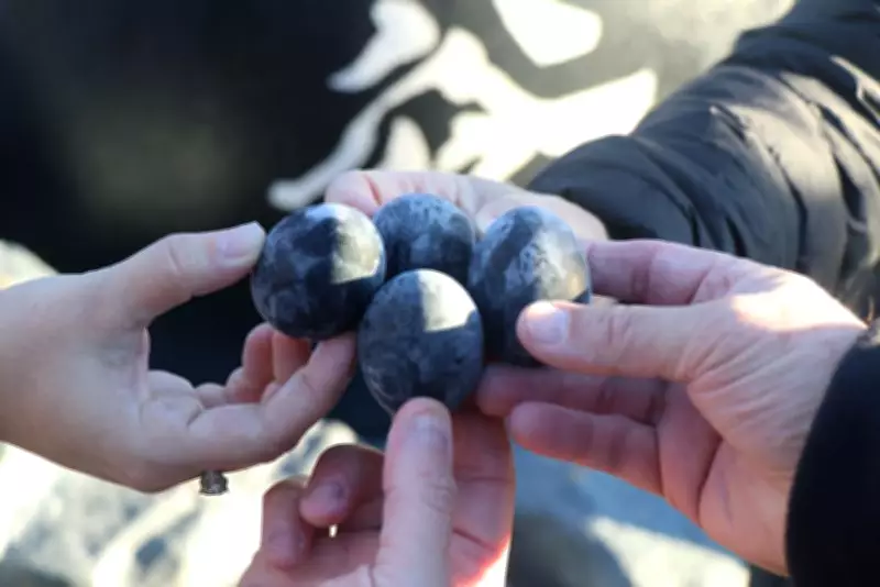 Japan's Black Eggs: The Legendary Snack Believed to Add 7 Years to Life