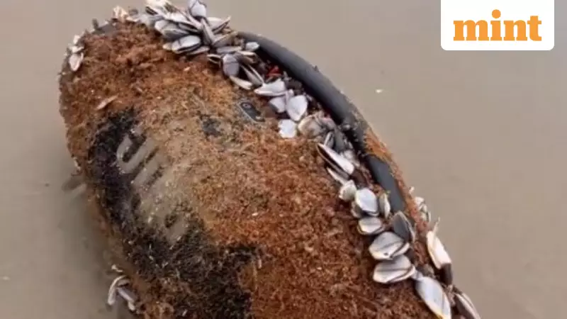 JBL Speaker Survives 3 Months in Ocean, Still Plays Music in Viral Video