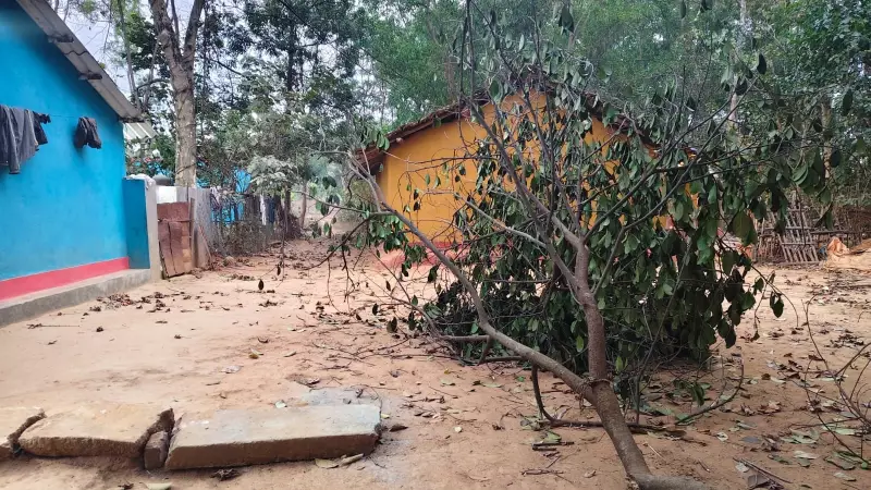 Jharkhand's Deadly Elephant Hunt: 20 Lives Lost as Rogue Bull Terrorizes Villages