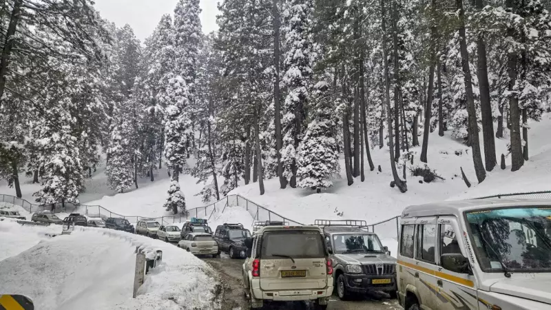 J&K Deputy CM Says Pakistan's Attempts to Ruin Tourism Failed, Invites Visitors