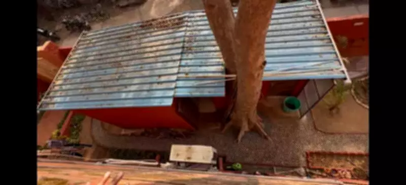 JNU Hostel Warden Accused of Unauthorized Construction for House Help on University Premises