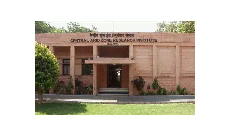 Jodhpur Research Fellows in Financial Crisis as Stipends Unpaid for Months