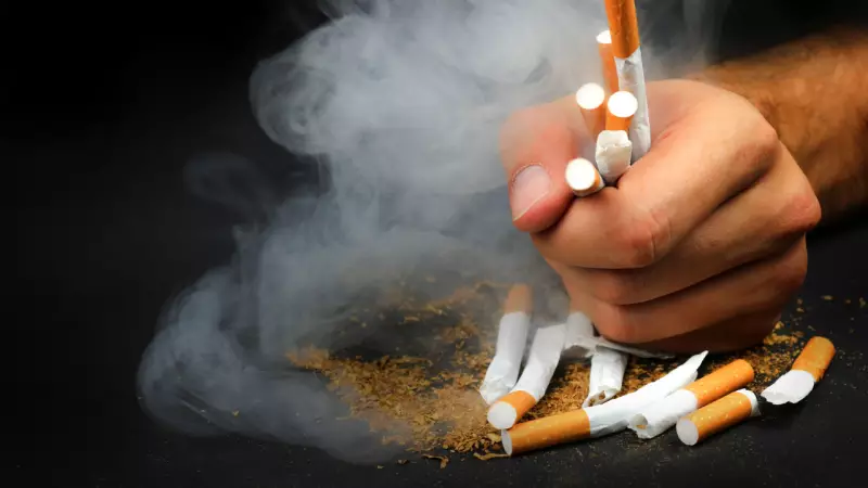 Just One Cigarette's Secondhand Smoke Can Harm Every Organ, Warns Doctor