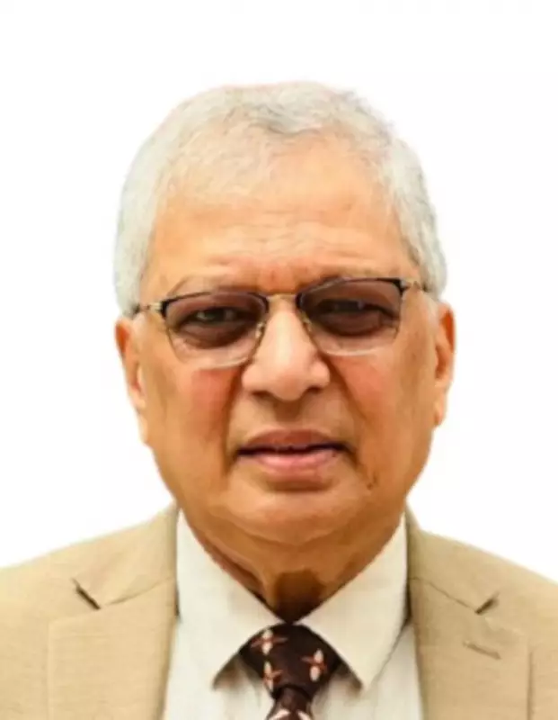 Justice Shabihul Hasnain's Term on Punjab Preventive Detention Boards Extended Until 2028