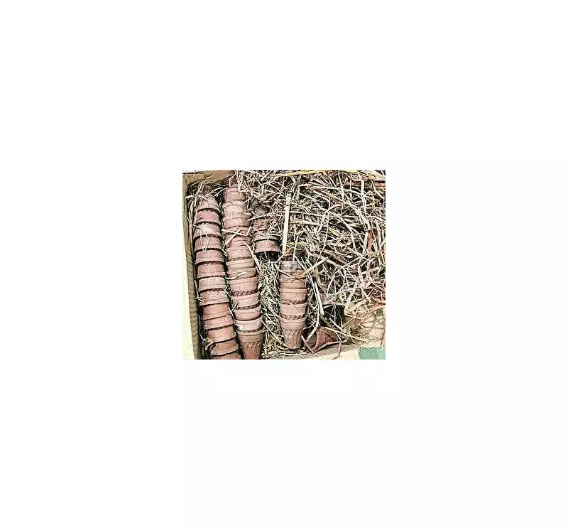 Kandhamal Hospital Bans Paper Cups, Switches to Eco-Friendly Clay Cups