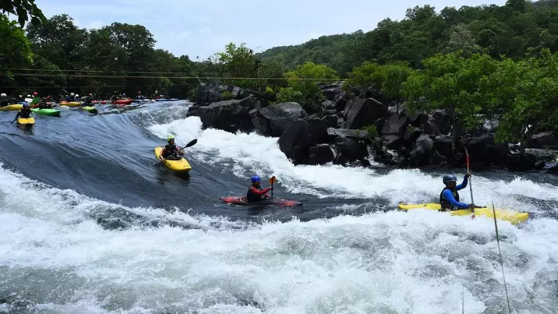 Karnataka Ecotourism Crisis: Industry Demands Scientific Review for Safari Resumption