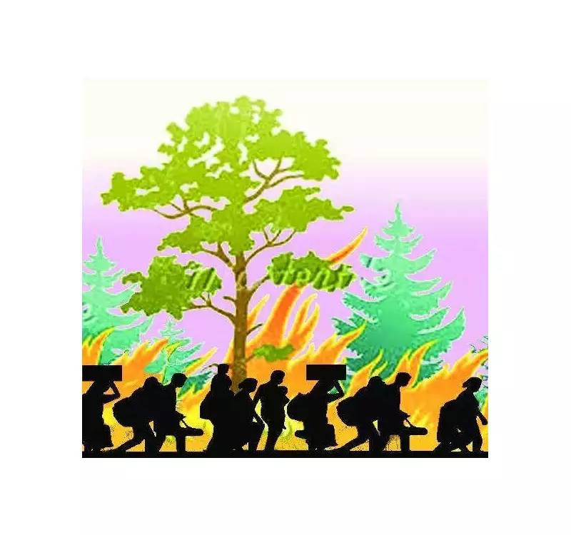 Karnataka Forests Face 1,800 Fire Incidents Amid Cold Wave, Minister Reviews Summer Preparedness