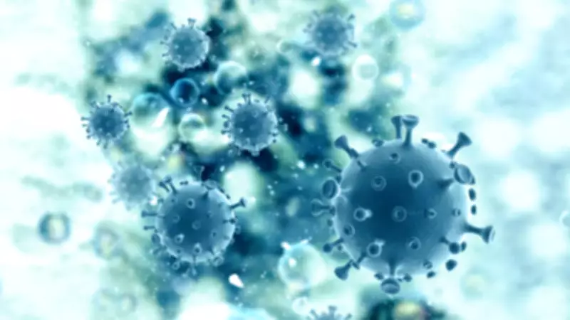 Karnataka Man Dies from Monkey Fever Despite Swift Medical Response