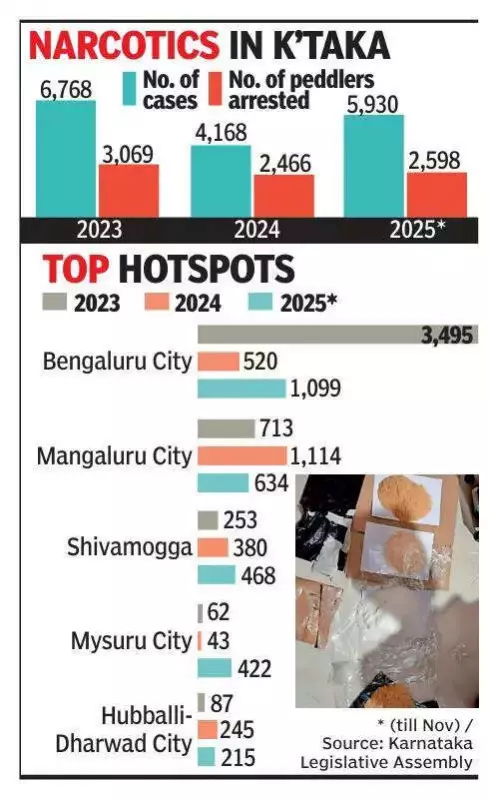 Karnataka Sees Sharp Rise in Drug Cases: 5,900 NDPS Cases Till Nov 2025