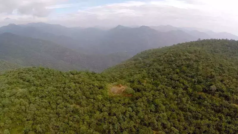 Karnataka Tiger Poaching Case Exposes Critical Funding Gaps in Wildlife Crime Forensics