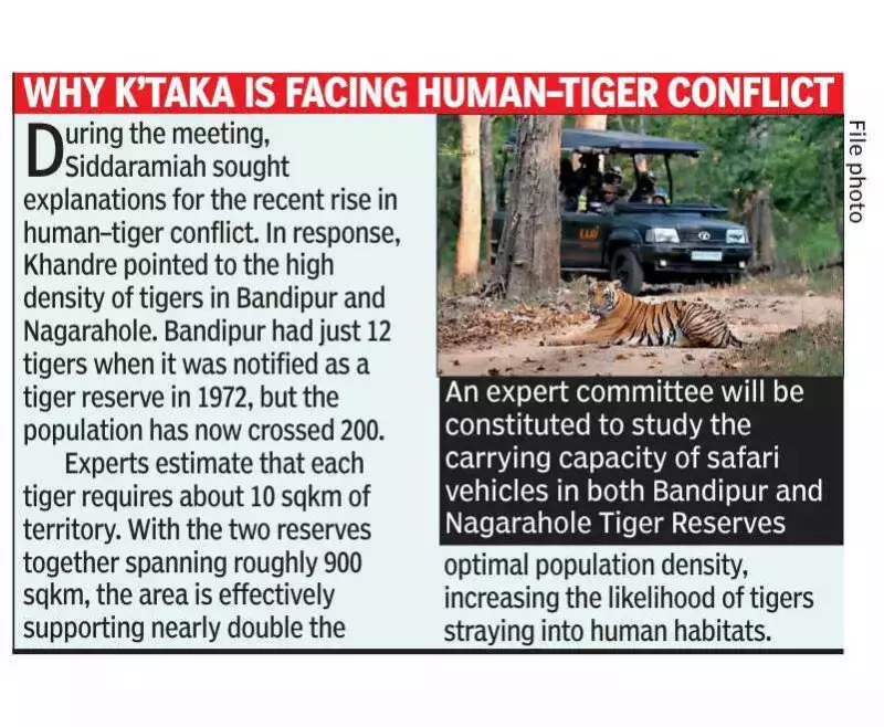 Karnataka to Reopen Tiger Safaris Gradually in Bandipur & Nagarahole
