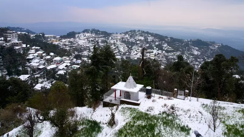 Kasauli Welcomes First Snowfall After 4-Year Wait, Boosting Tourism Hopes