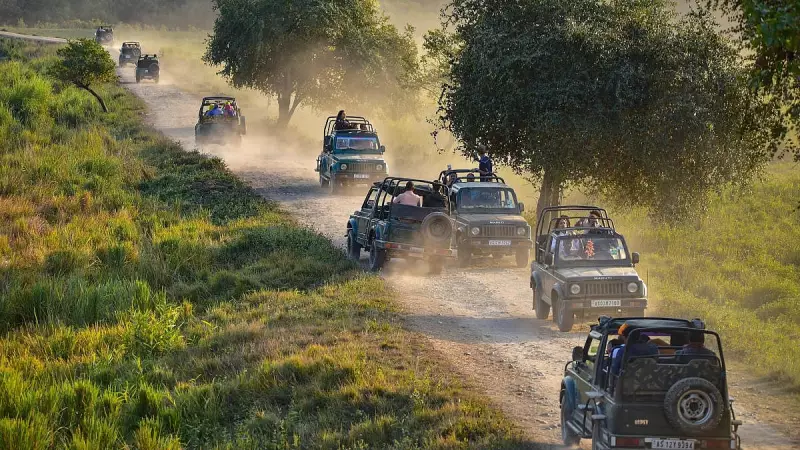 Kaziranga Corridor to Safeguard Wildlife Movement and Boost Tourism in Assam