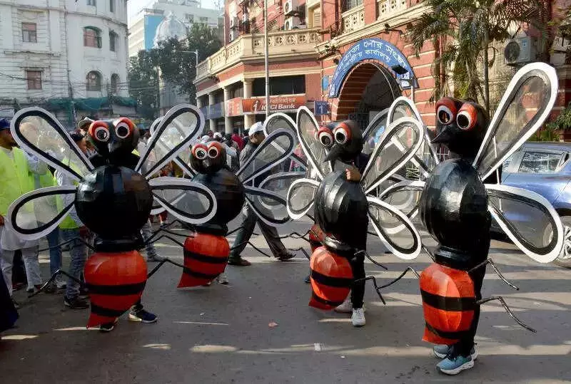 Kerala's Waste Crisis Fuels Mosquito Boom, Heightening Disease Risk