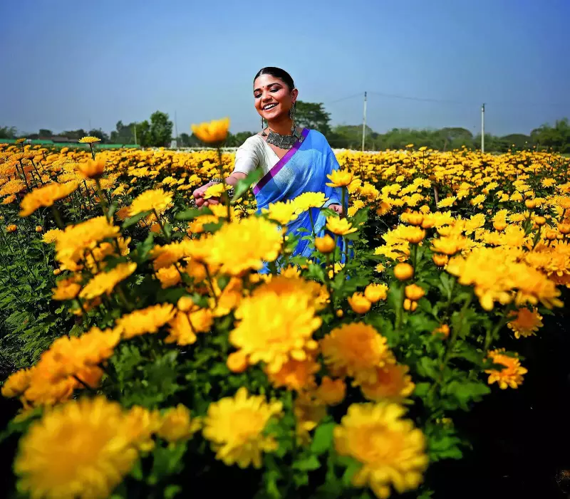 Khirai Blooms: Bengal's Flower Valley Thrives During Saraswati Puja Season