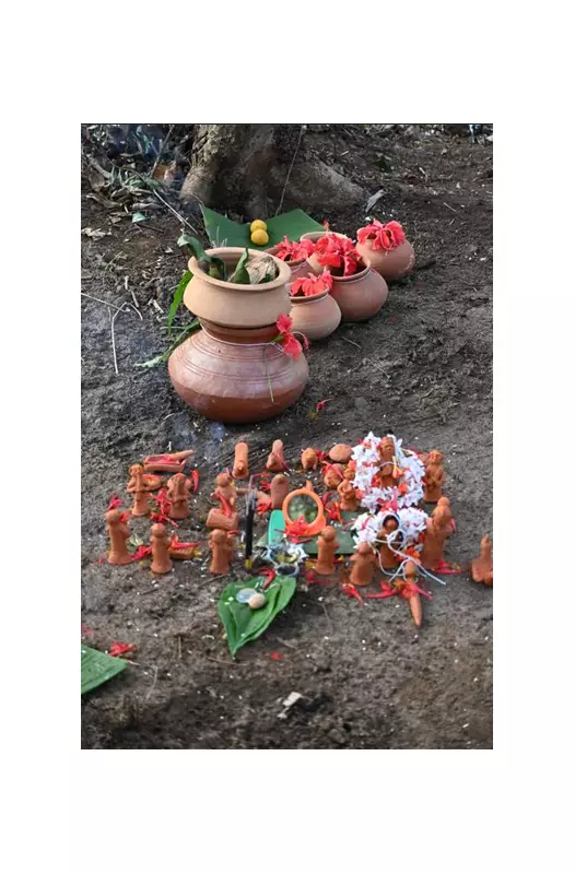 Khodiye Village's Annual Devchar Wedding: Goa's Unique Ritual Preceding Human Marriages