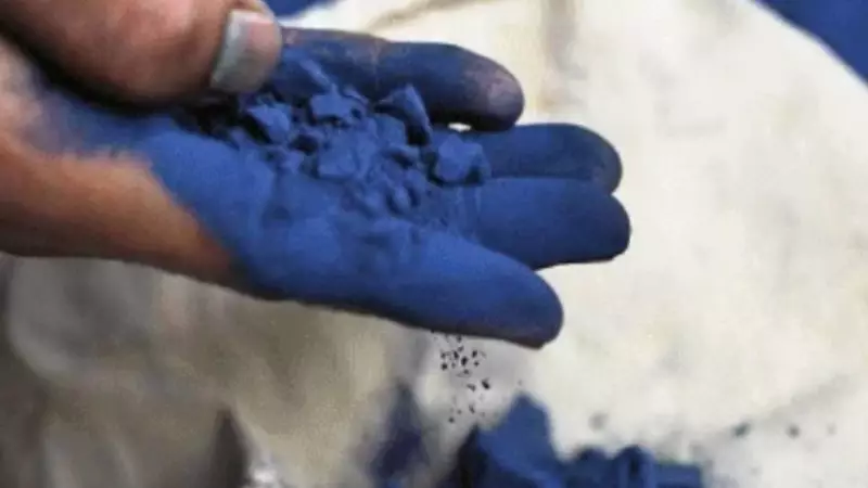 Kiran Sandhu's Indigo Art Revives Ancient Dye in Uttarakhand