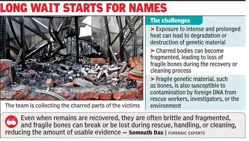 Kolkata Decorators Fire: Forensic Teams Face DNA Challenge in Identifying Charred Victims