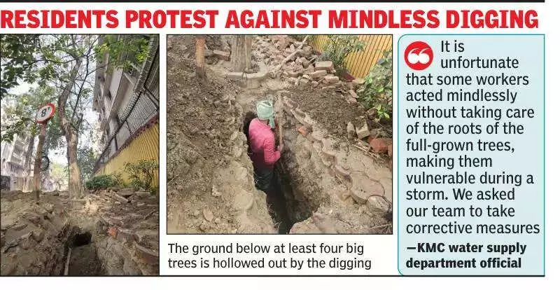 Kolkata Residents Halt KMC Digging to Save Trees from Damage in New Alipore