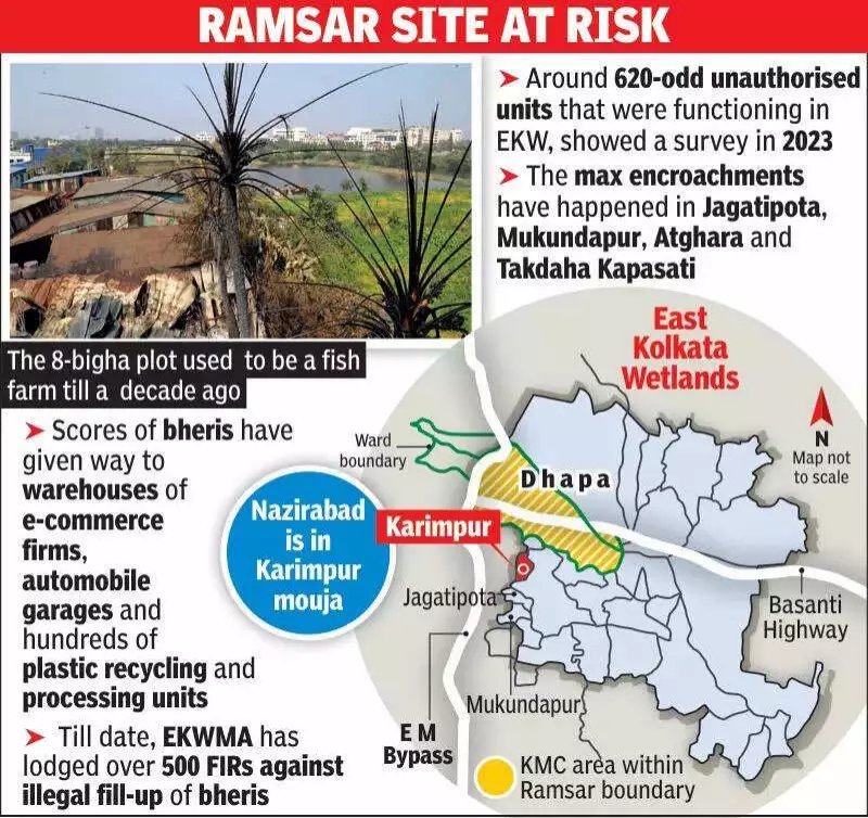 Kolkata Wetlands Crisis: Illegal Warehouses Replace Fish Farms, Fire Exposes Rampant Encroachment