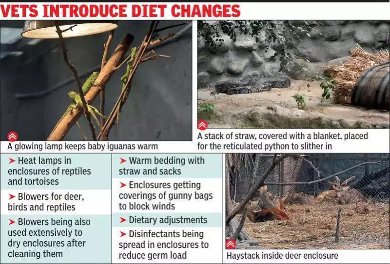 Kolkata Zoo Deploys Blowers, Heat Lamps to Protect Animals from Record Cold