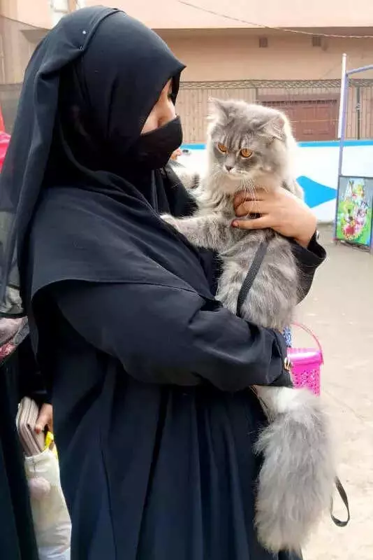 Kolkata's Garden Reach Pet Carnival Unites 40 Students for Animal Welfare