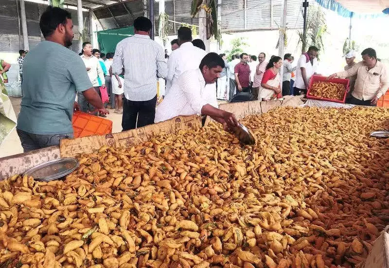 Koppal's Mirchi Balaga Serves 6 Lakh Bajjis at Gavisiddeshwara Jatra