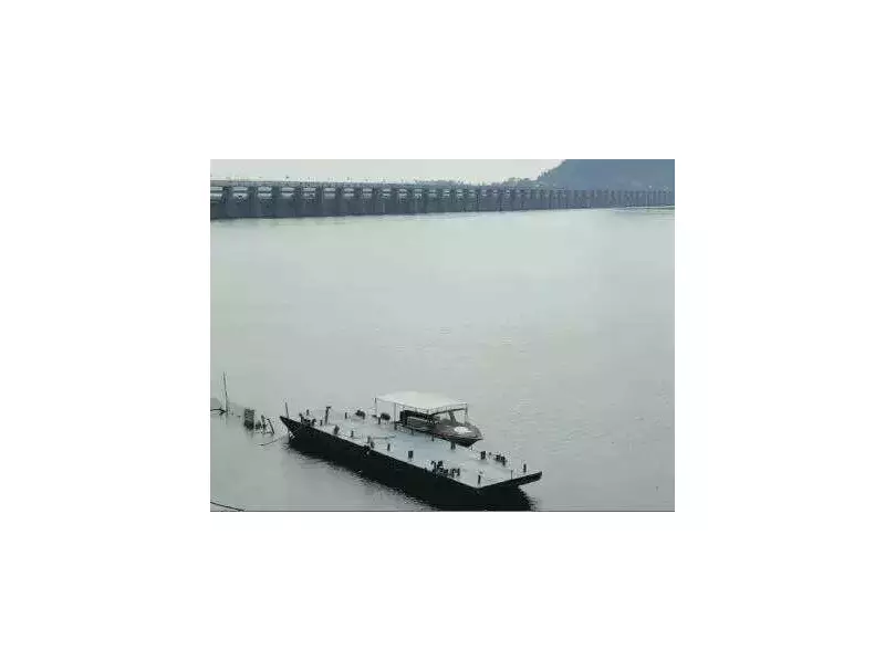 Krishna River Turns Blue-Green in Andhra Pradesh-Telangana Stretch, Villagers Fear Contamination