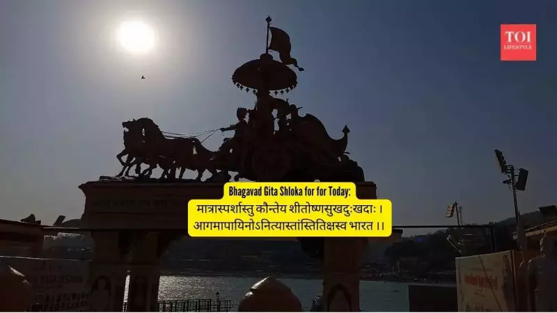 Krishna's Wisdom for Modern Life: How to Handle Office Wins & Losses