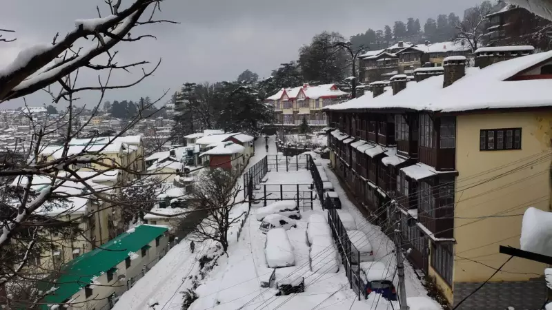 Kufri Snowfall Sparks Tourist Rush, Shimla Faces Infrastructure Strain