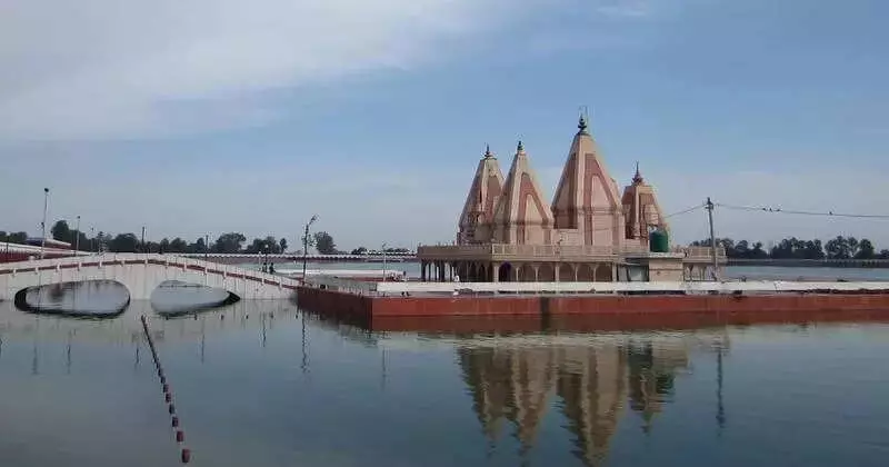 Kurukshetra's Sacred Waters Host 150+ Bird Species in Winter Migration