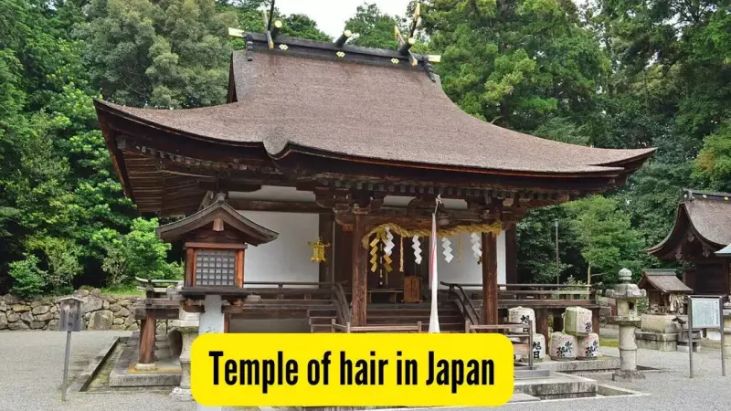 Kyoto's Mikami Shrine: Japan's Unique Temple for Hair Growth & Beauty